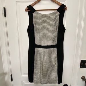 BCBG Business Dress Lower Back